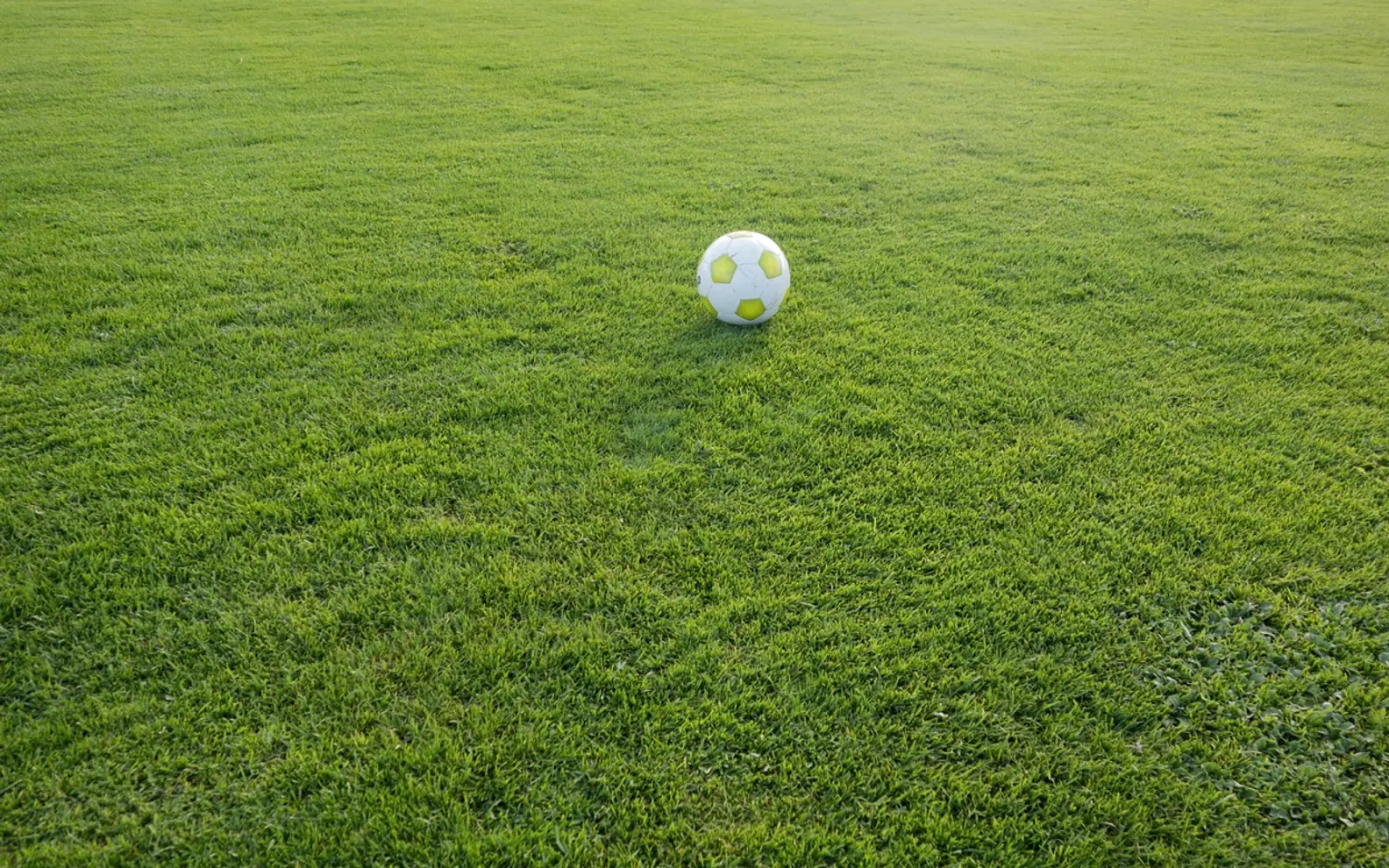 Soccer, sports ground and ball